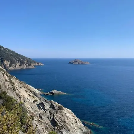 Tres Bel Centre-ville Pour 4 Personnes La Londe-les-Maures
